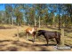 58 Pampoolah Road, Pampoolah NSW 2430