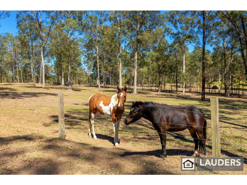 58 Pampoolah Road, Pampoolah NSW 2430