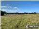 1291 Manning Point Road, Mitchells Island NSW 2430