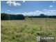 1291 Manning Point Road, Mitchells Island NSW 2430