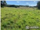 1291 Manning Point Road, Mitchells Island NSW 2430