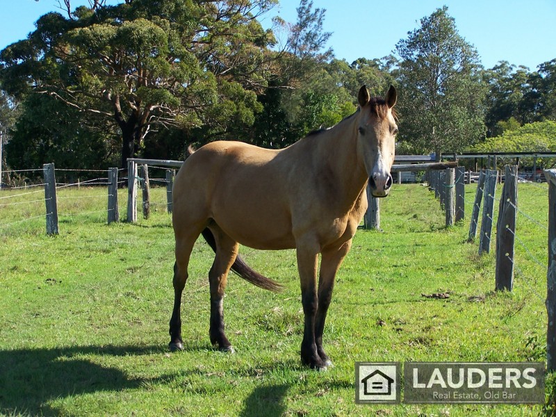 1291 Manning Point Road, Mitchells Island NSW 2430