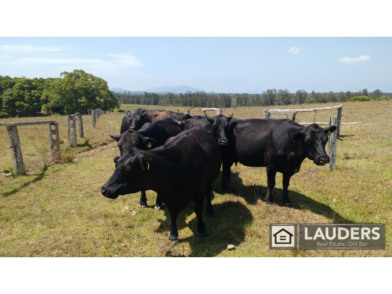 1291 Manning Point Road, Mitchells Island NSW 2430