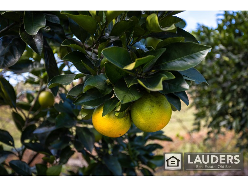 552 Old Bar Road, Old Bar NSW 2430
