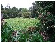 Tinonee NSW 2430