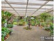 51 Clerke Street, Old Bar NSW 2430
