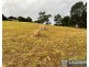 1 St Andrews Court, Tallwoods Village NSW 2430