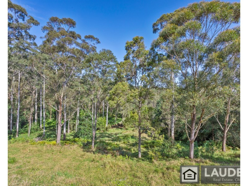 4 Scotts Road, Mitchells Island NSW 2430