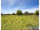 53 Jobson Lane, Mitchells Island NSW 2430