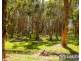 17 Eucalypt Close, Old Bar NSW 2430