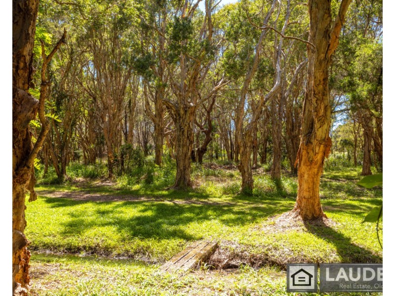 17 Eucalypt Close, Old Bar NSW 2430