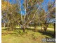 11 Leslies Lane, Mitchells Island NSW 2430