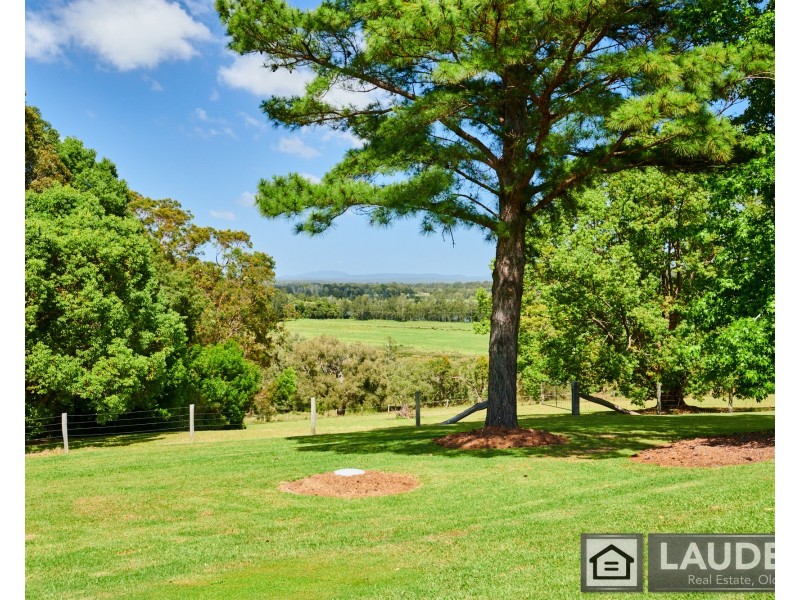8 Voss Place, Mitchells Island NSW 2430