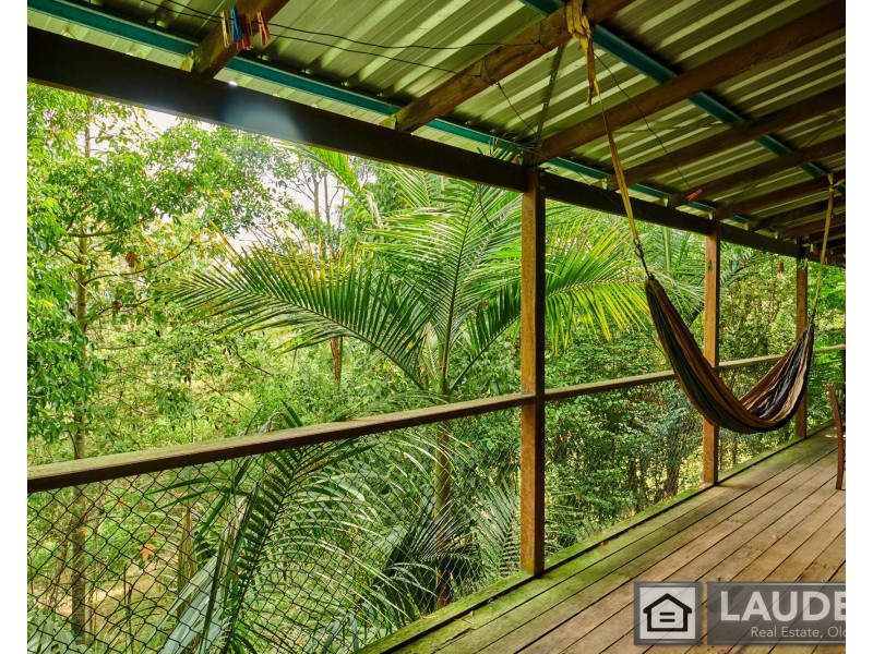 2264 Bundook Road, Bundook NSW 2422