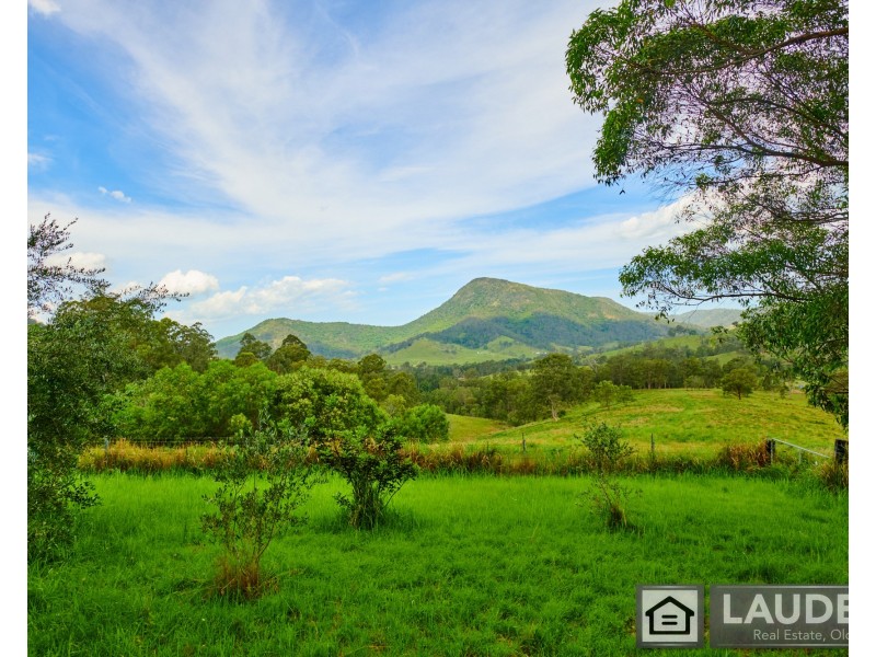 2264 Bundook Road, Bundook NSW 2422