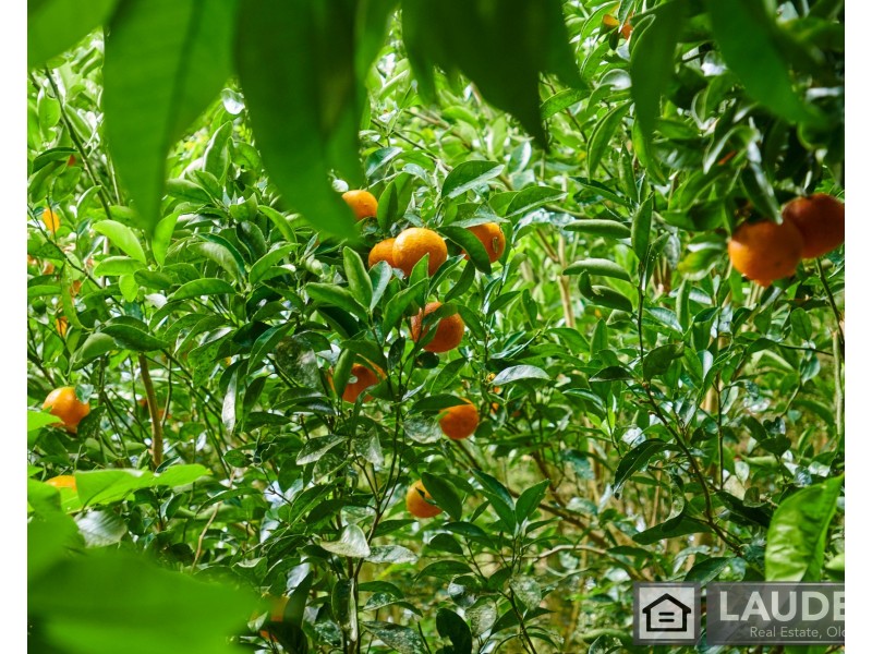 2264 Bundook Road, Bundook NSW 2422