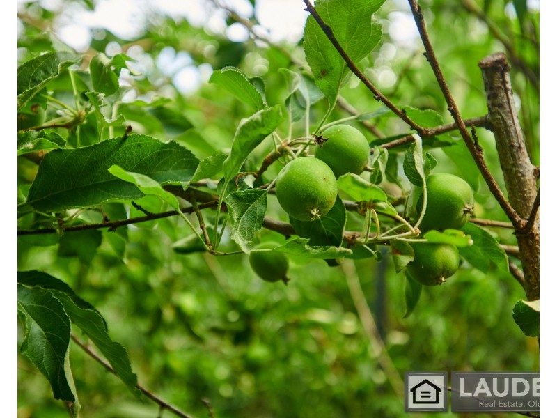 2264 Bundook Road, Bundook NSW 2422