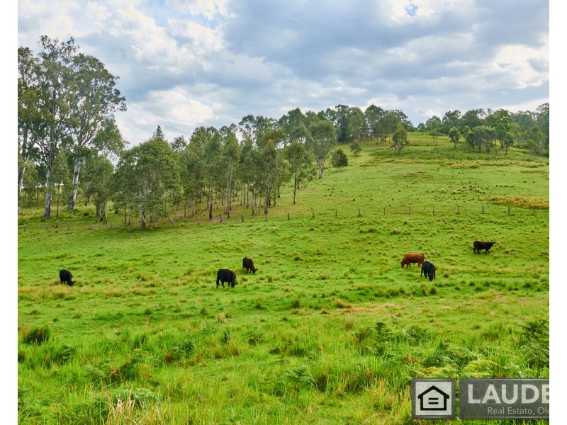 2264 Bundook Road, Bundook NSW 2422