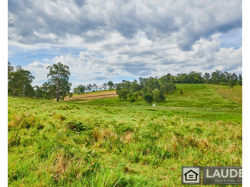 2264 Bundook Road, Bundook NSW 2422