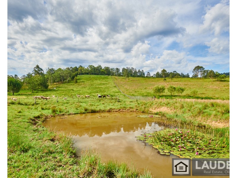 2264 Bundook Road, Bundook NSW 2422