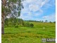 2264 Bundook Road, Bundook NSW 2422