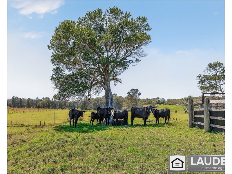 157 Oxley Island Road, Oxley Island NSW 2430