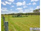 700 Manning Point Road, Oxley Island NSW 2430