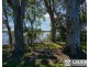 1489 Manning Point Road, Mitchells Island NSW 2430