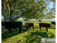 105 Pelican Bay Road, Mitchells Island NSW 2430