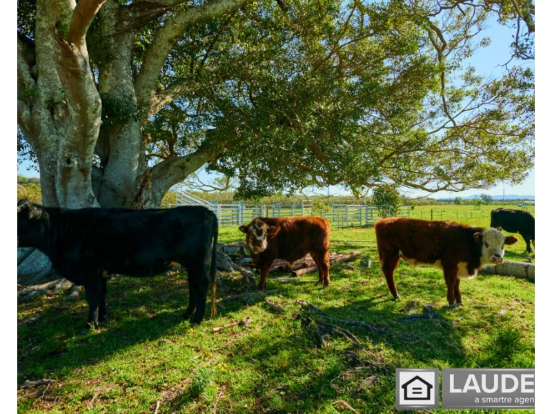105 Pelican Bay Road, Mitchells Island NSW 2430