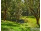 3 Rainforest Drive, Mitchells Island NSW 2430