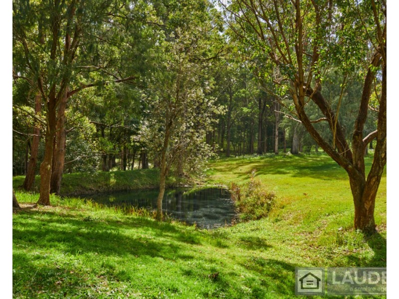 3 Rainforest Drive, Mitchells Island NSW 2430