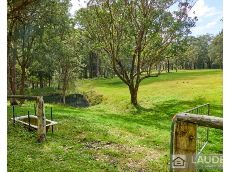 3 Rainforest Drive, Mitchells Island NSW 2430