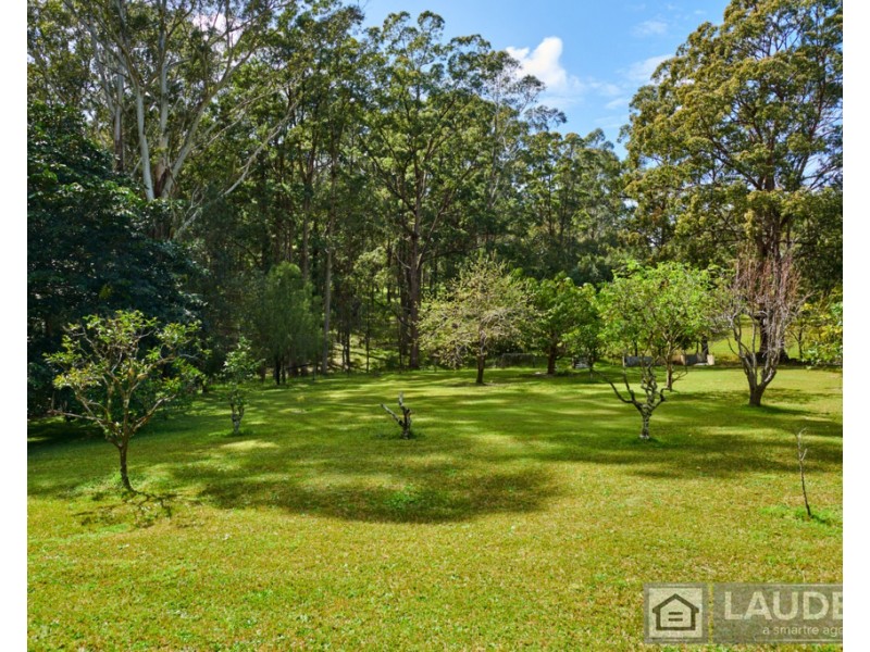3 Rainforest Drive, Mitchells Island NSW 2430