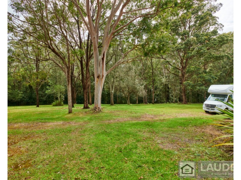 3 Rainforest Drive, Mitchells Island NSW 2430