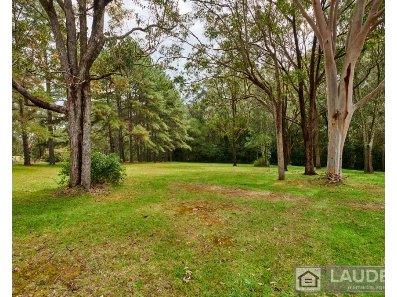 3 Rainforest Drive, Mitchells Island NSW 2430