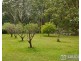3 Rainforest Drive, Mitchells Island NSW 2430