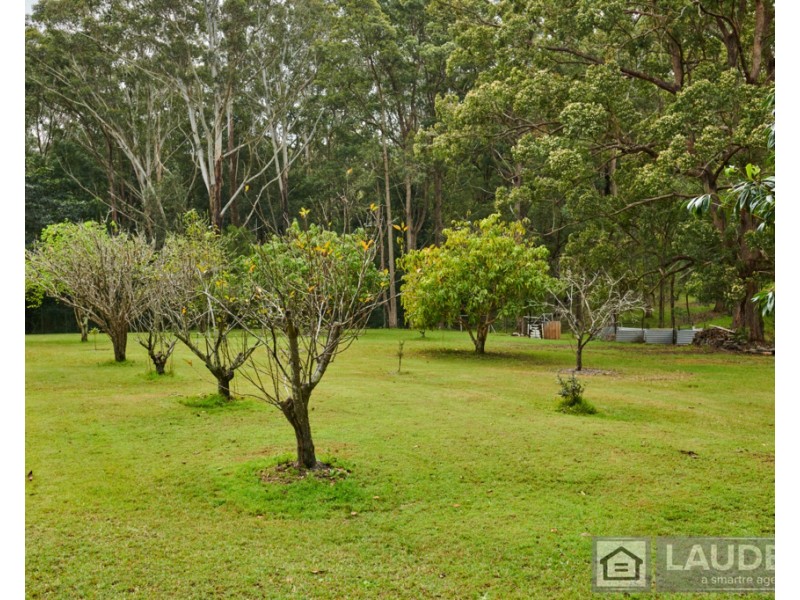 3 Rainforest Drive, Mitchells Island NSW 2430