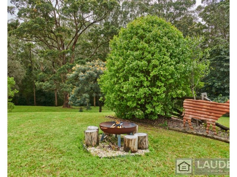 3 Rainforest Drive, Mitchells Island NSW 2430
