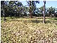 Bohnock NSW 2430