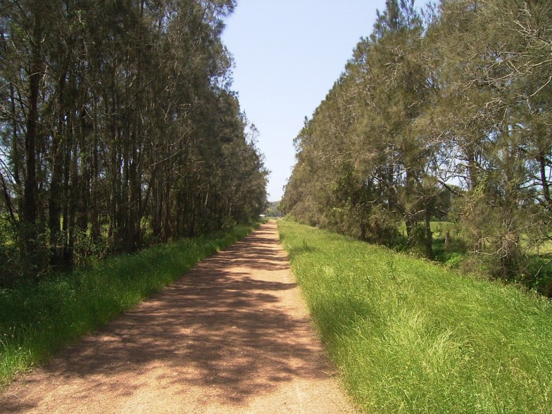 Oxley Island NSW 2430
