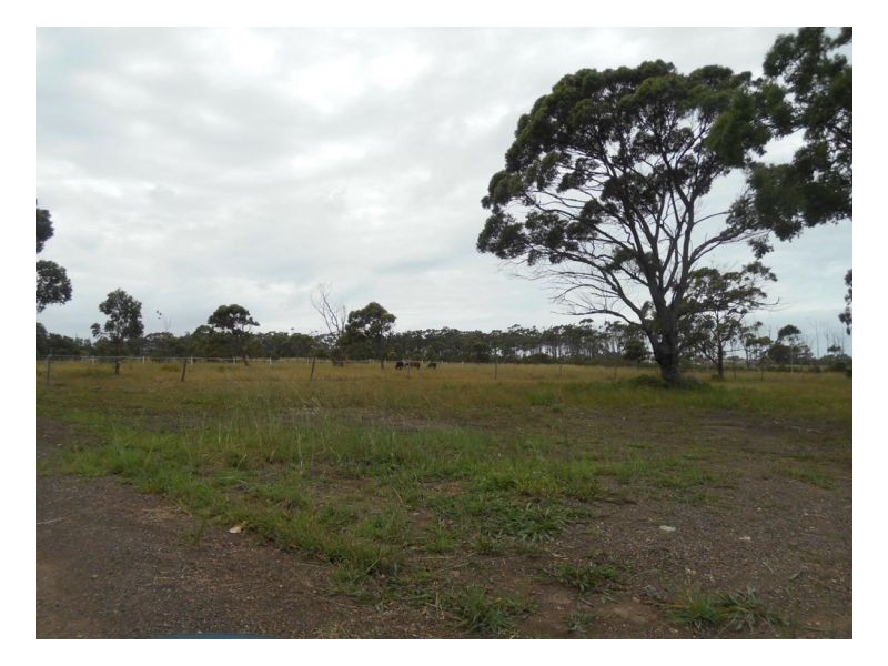 75 Forest Lane, Old Bar NSW 2430