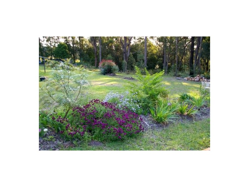 Mitchells Island NSW 2430
