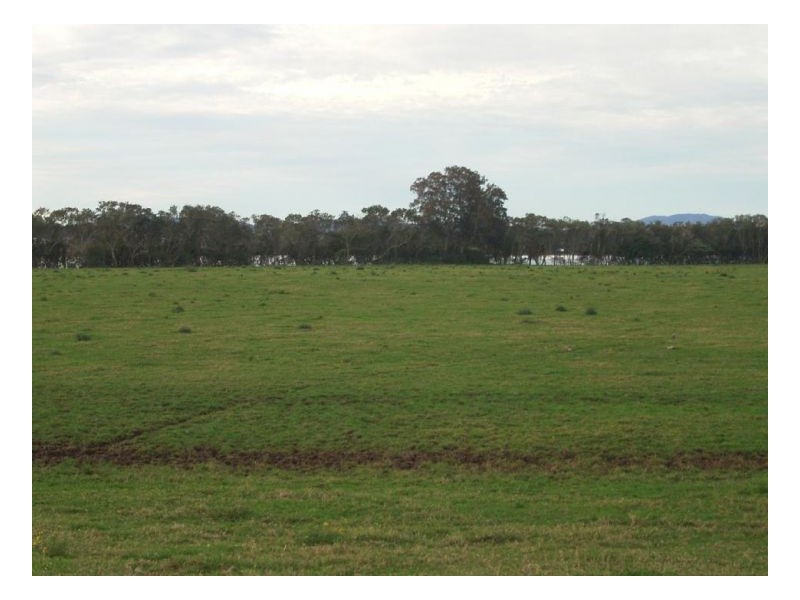 67 Newby Road, Pampoolah NSW 2430