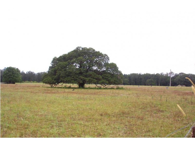 Lot 2 Jobsons Lane, Mitchells Island NSW 2430