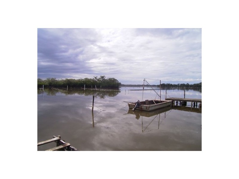 Mitchells Island NSW 2430