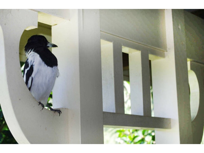 26 Oakflat Close, Old Bar NSW 2430