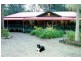 Mitchells Island NSW 2430