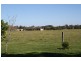 Oxley Island NSW 2430