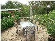 Mitchells Island NSW 2430